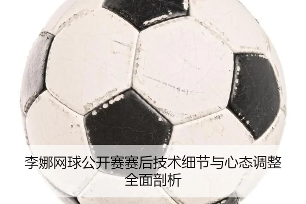 李娜网球公开赛赛后技术细节与心态调整全面剖析 - AYX SPORTS